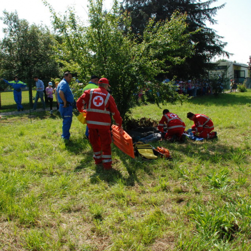 Attivit‡ formazione/divulgazione presso scuola Colugna n. 49 / 109920