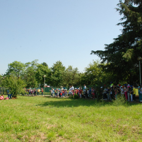 Attivit‡ formazione/divulgazione presso scuola Colugna n. 51 / 109922