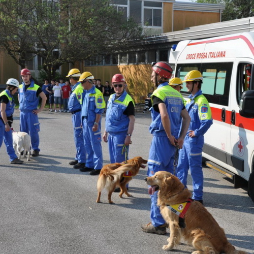 Prova di evacuazione n. 6 / 80708