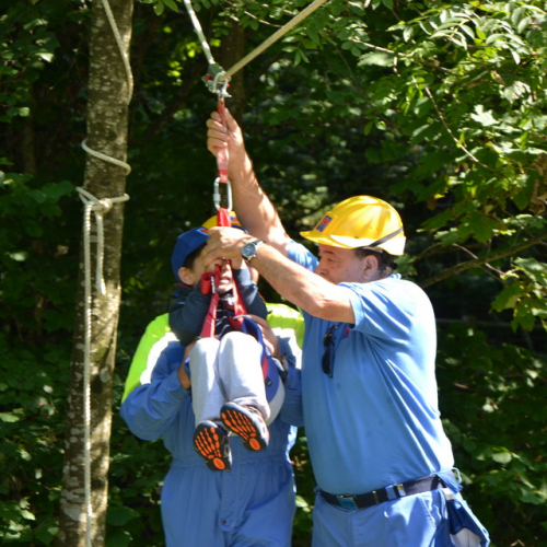 Attivit‡ del 01/09 n. 31 / 98897