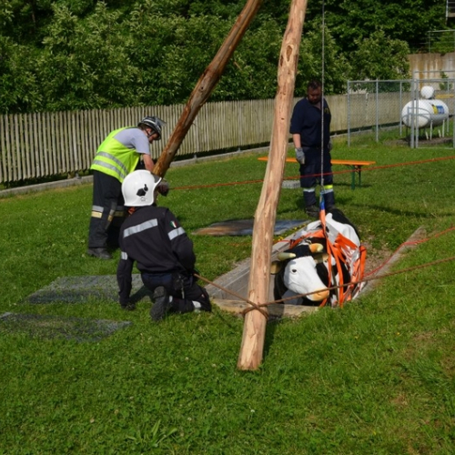 Stage foto n.2 / 113627