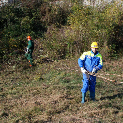 Esercitazione 12/11 n. 14 / 72383