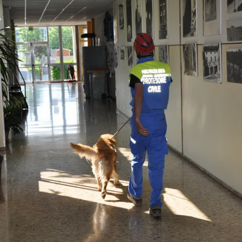 Prova di evacuazione n. 8 / 80710