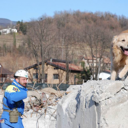 foto esercitazione 48 / 34018