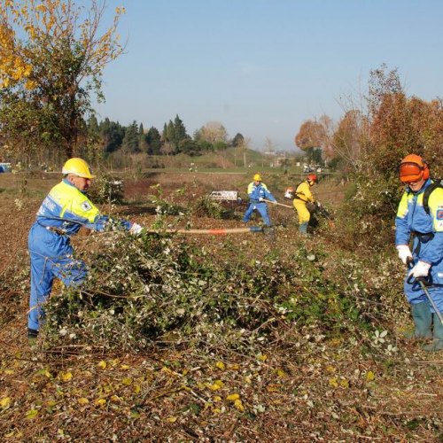Esercitazione 19/11 n. 43 / 72917