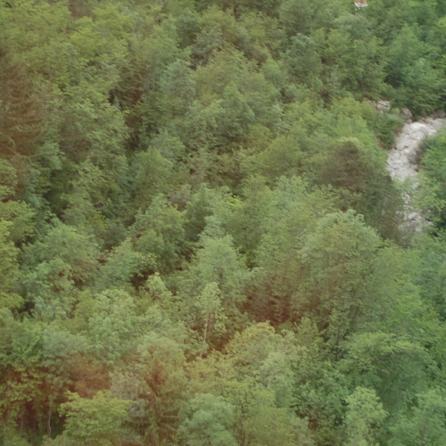 Esercitazione Monte Amariana - Fuoco in Pineit 2012" n. 36""sercitazione "Monte Amariana - Fuoco in Pine""ercitazione "Monte Amariana - ""rcitazione "Monte""citaz" / 82930