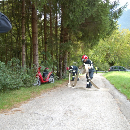 DSC_0297.JPG / 114582