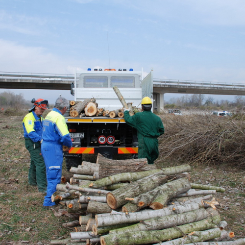 Intervento alveo Torre nelle vicinanze dell'abitato di Salt n. 75 / 78749