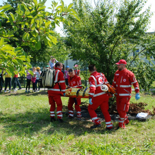 Attivit‡ formazione/divulgazione presso scuola Colugna n. 54 / 109925