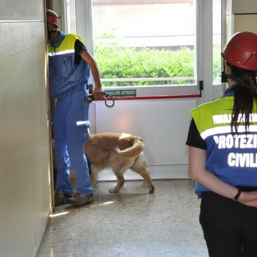 Prova di evacuazione n. 11 / 80713