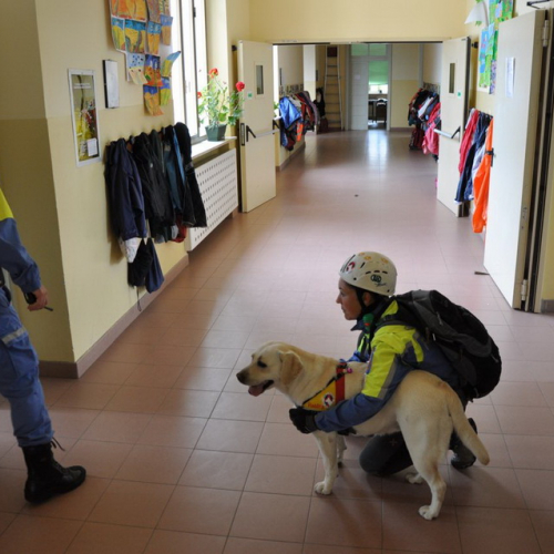 Evacauazione scuola n. 10 / 94871