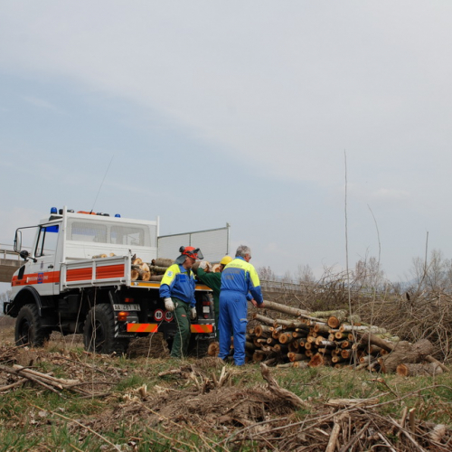 Intervento alveo Torre nelle vicinanze dell'abitato di Salt n. 76 / 78750