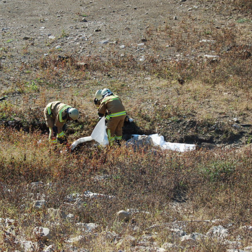 foto TRK 2007 n. 53 / 18212