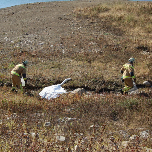 foto TRK 2007 n. 54 / 18213