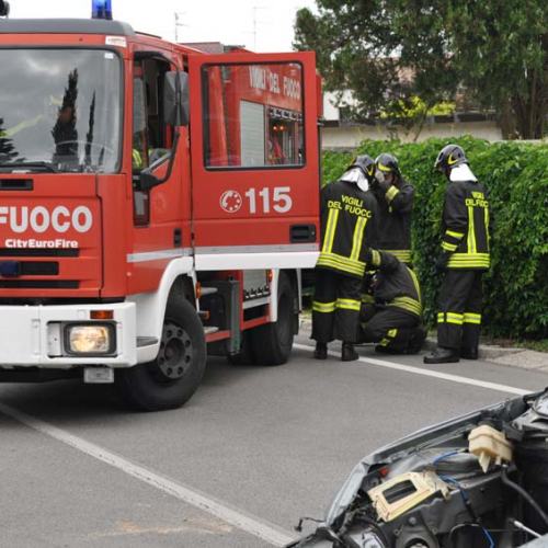attivit‡ di sensibilizzazione nell'ambito di Pozzuolo Ri-fiorisce" n. 16""ttivit‡ di sensibilizzazion" / 68313