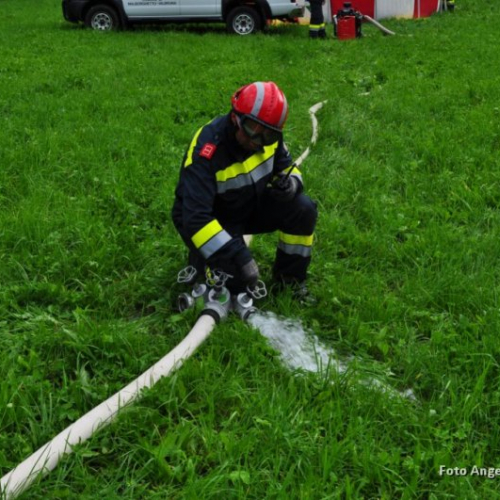 DSC_0307.JPG / 114586