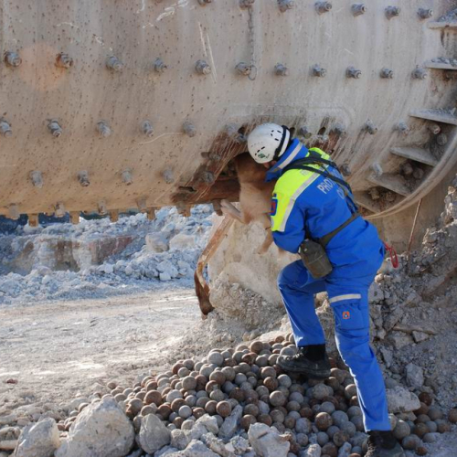 foto esercitazione 50 / 34020