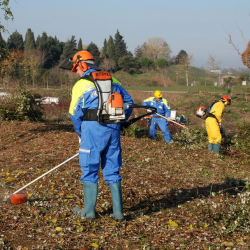 Esercitazione 19/11 n. 44 / 72918