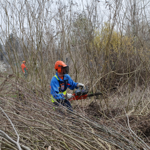 Intervento alveo Torre nelle vicinanze dell'abitato di Salt n. 77 / 78751