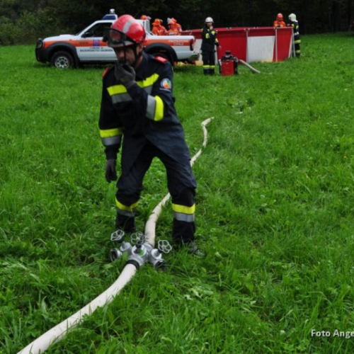 DSC_0308.JPG / 114587