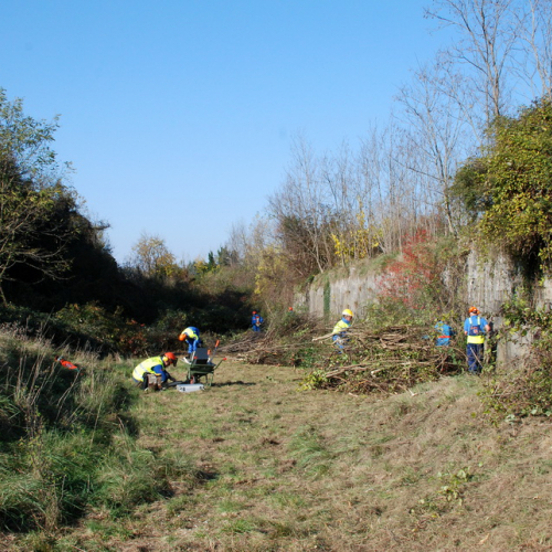 Esercitazione 12/11 n. 20 / 72389