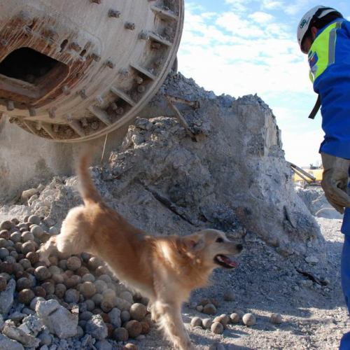 foto esercitazione 52 / 34022