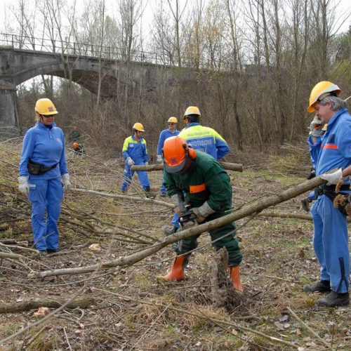 Alvei Puliti 2012 n. 78 / 78279