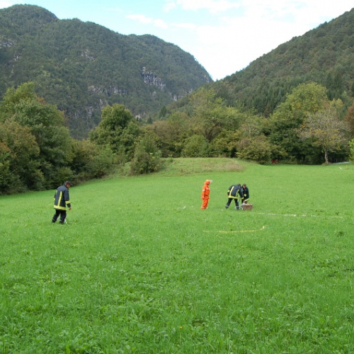 DSC_0315.JPG / 114591