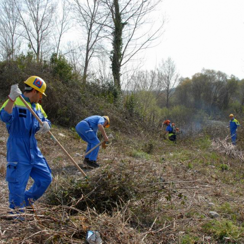 Alvei Puliti 2012 n. 79 / 78280