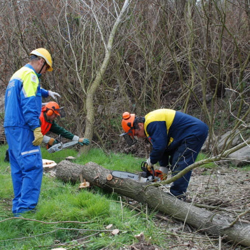 Intervento alveo Torre nelle vicinanze dell'abitato di Salt n. 78 / 78752