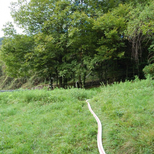 DSC_0320.JPG / 114594