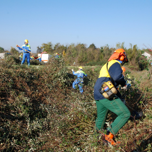 Esercitazione 12/11 n. 23 / 72392