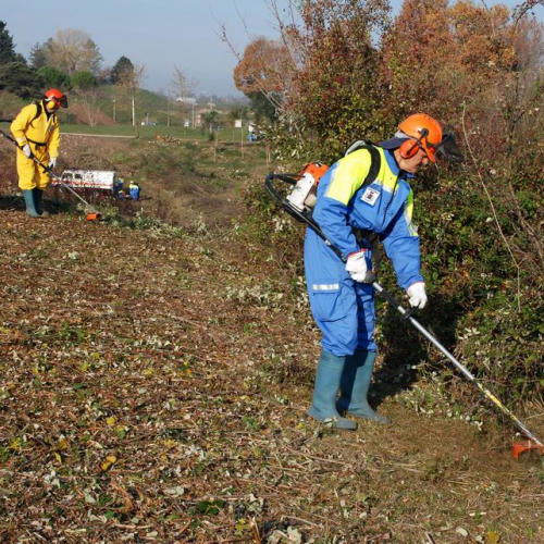 Esercitazione 19/11 n. 45 / 72919