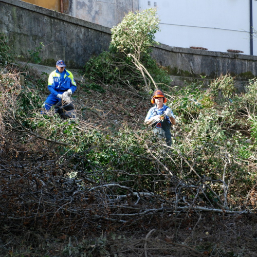 Intervento Fiume Isonzo nei pressi del Ponte di Sagrado n. 17 / 78629