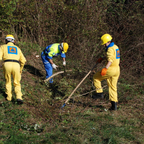Esercitazione 12/11 n. 24 / 72393