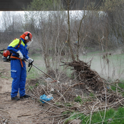 Intervento alveo Torre nelle vicinanze dell'abitato di Salt n. 79 / 78753