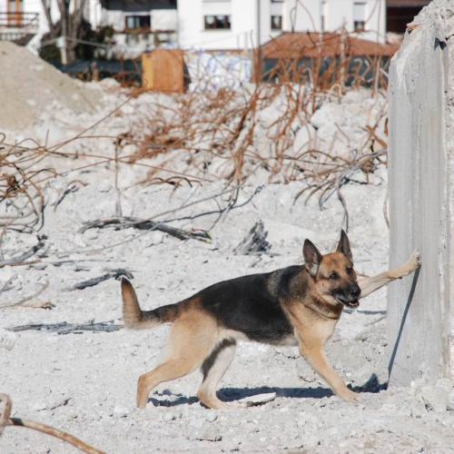 foto esercitazione 53 / 34023