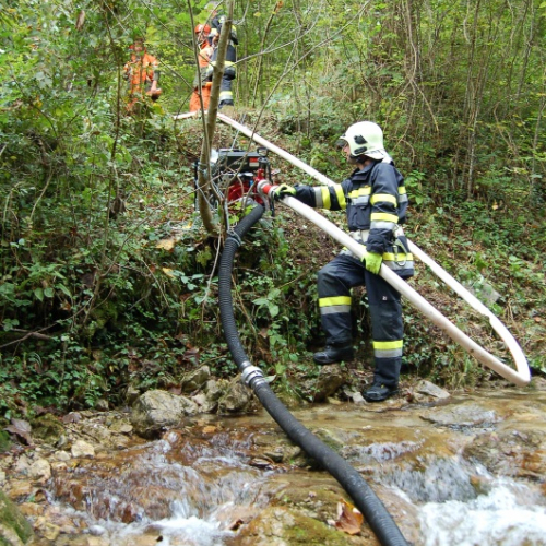 DSC_0332.JPG / 114593