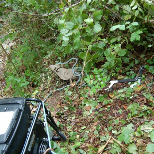 DSC_0333.JPG / 114595