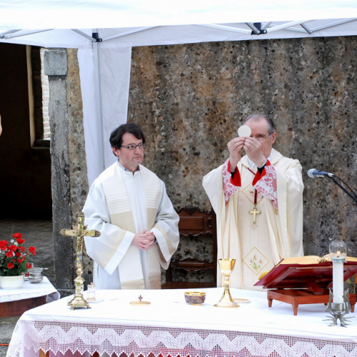 Celebrazioni di San Floriano n. 14 / 64982