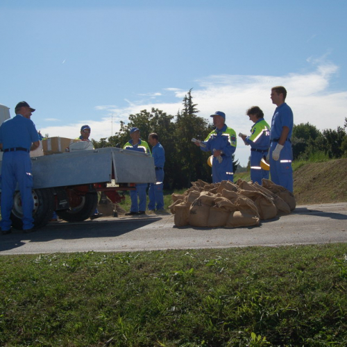 foto Visinale 64 / 17132