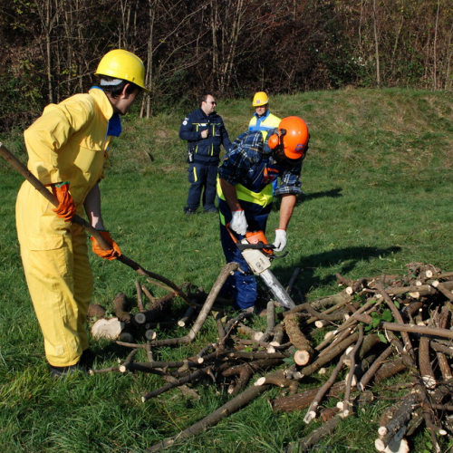 Esercitazione 12/11 n. 26 / 72395