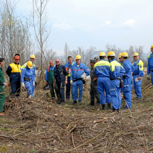 Alvei Puliti 2012 n. 84 / 78285