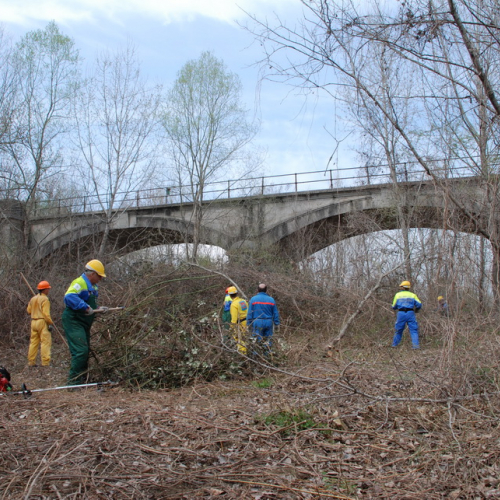 Intervento alveo Torre nelle vicinanze dell'abitato di Salt n. 80 / 78754