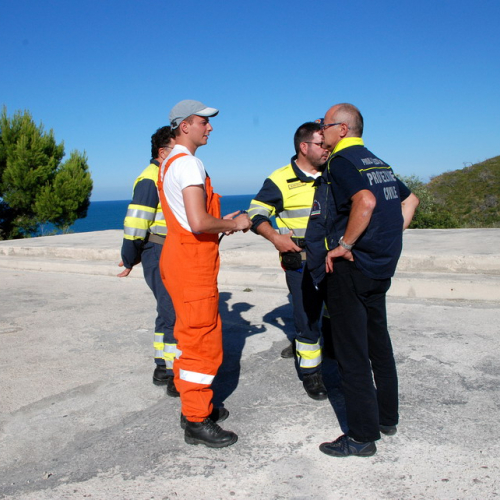 5∞ turno Puglia 2011 n. 16 / 69531