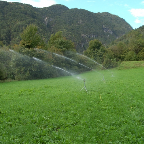 DSC_0346.JPG / 114602