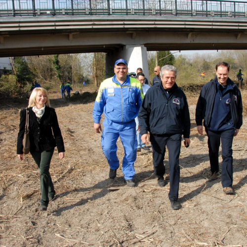Intervento Fiume Isonzo nei pressi del Ponte di Sagrado n. 20 / 78632
