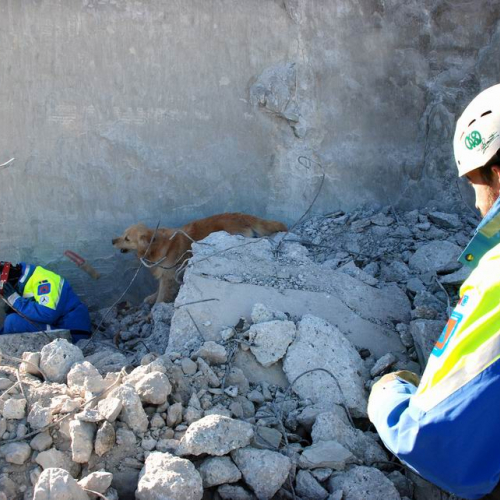 foto esercitazione 55 / 34025