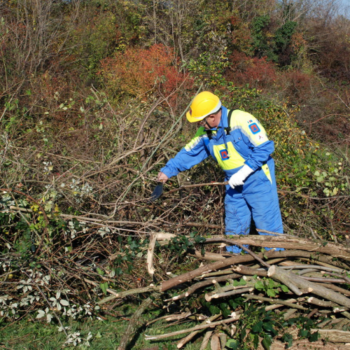 Esercitazione 12/11 n. 28 / 72397