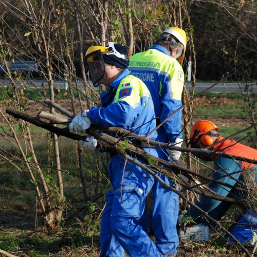 Esercitazione 19/11 n. 48 / 72922